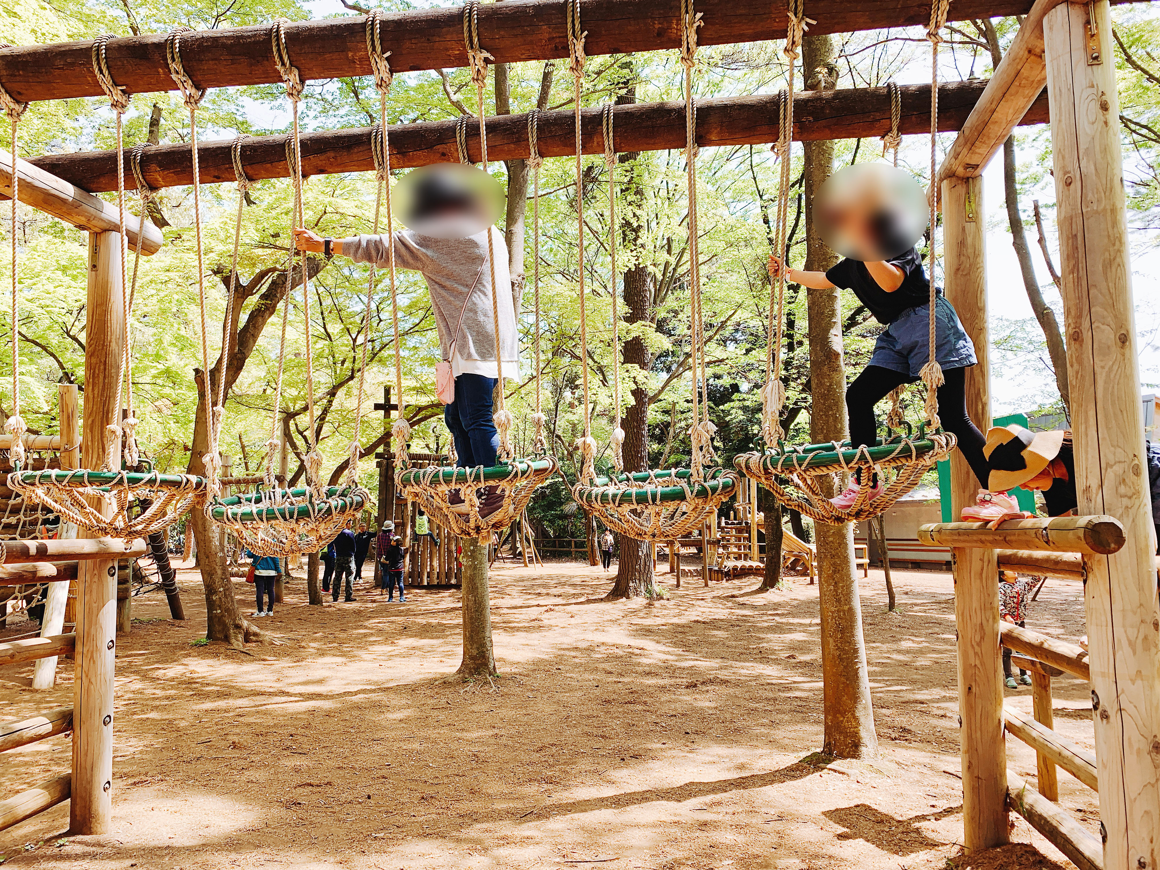 清水公園フィールドアスレチック 子供がみんな笑顔になる 野田市清水 Trieat