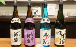 【日本酒 浦霞 酒ギャラリー】幸せを満たす一献 | 塩竈市本町