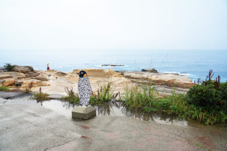 【千畳敷】雄大な岩畳を鑑賞しながら潮風に吹かれる | 西牟婁郡白浜町