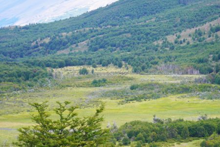 【Patagonia Bagual】野生の馬に会えるかも？ 広大で割と過酷なハイキング | 南パタゴニア