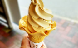 【木村ピーナッツ】冷たく濃厚なピーナッツソフトクリームに幸せの笑みが止まらな～い！  | 館山市下真倉